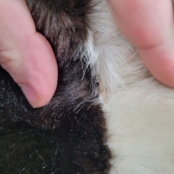 Vintage Faux Fur / Knit Jacket 70s Coat Eclectic Mobwife Streetwear - Picture 9 of 15